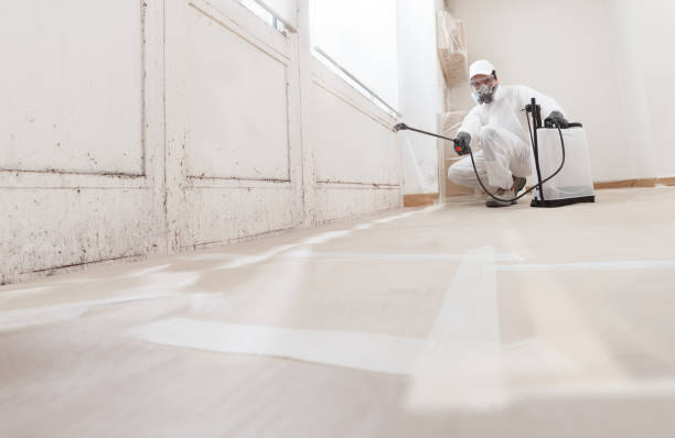 24/7 Emergency Attic Mold Removal experts in Lebanon, TN